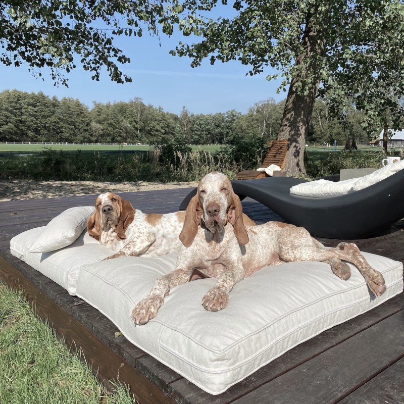 Alpaca dog pillow