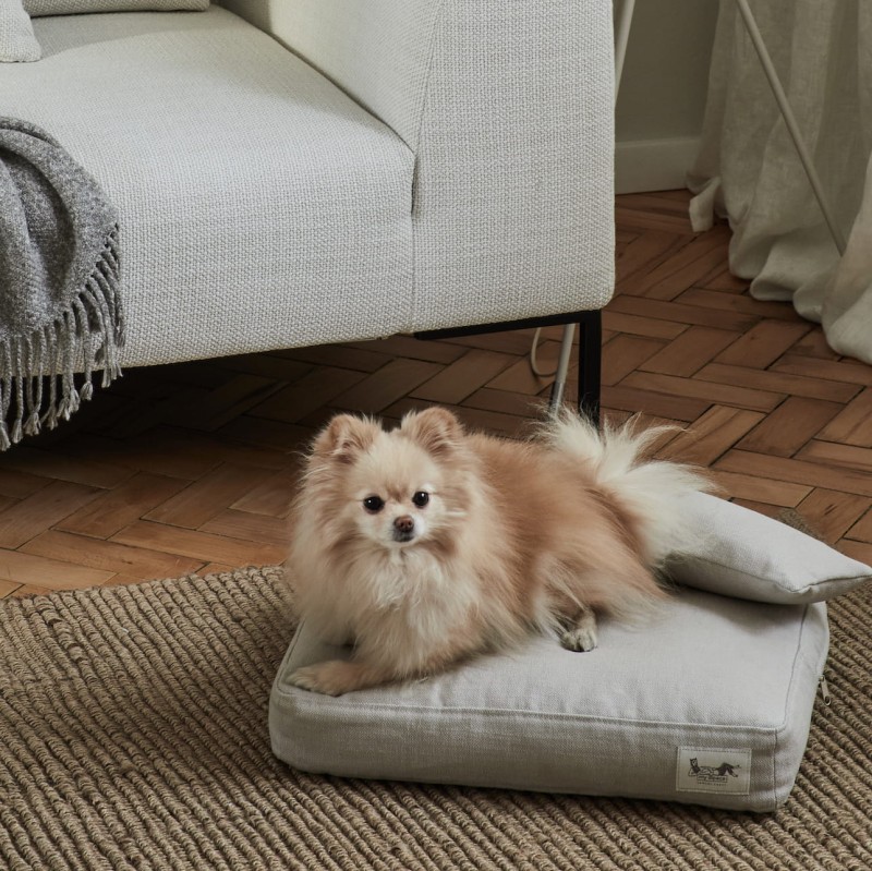 Alpaca Dog Pillow Cover