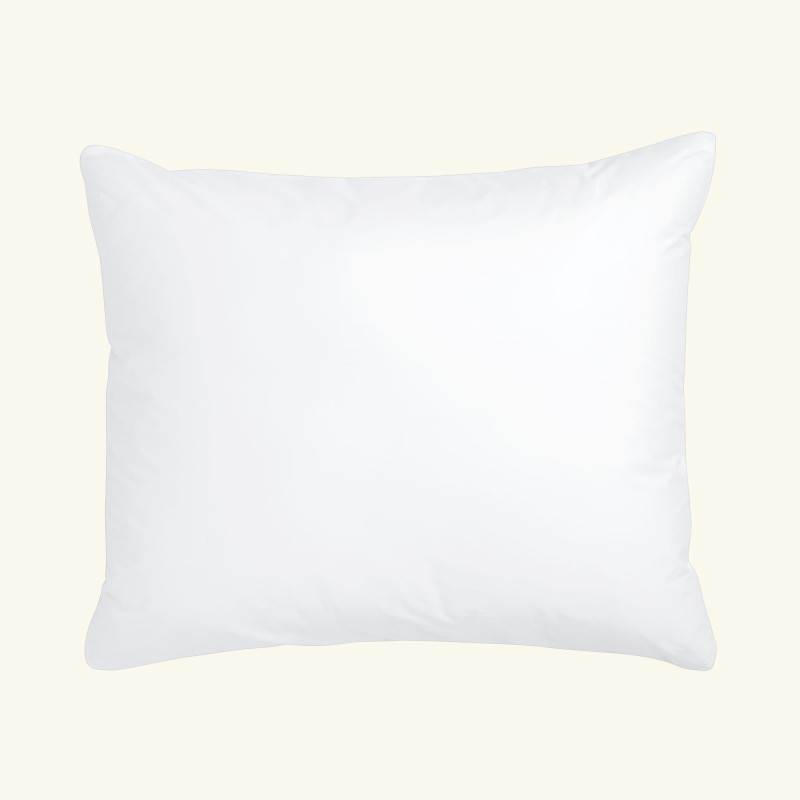 1. Pillow protector